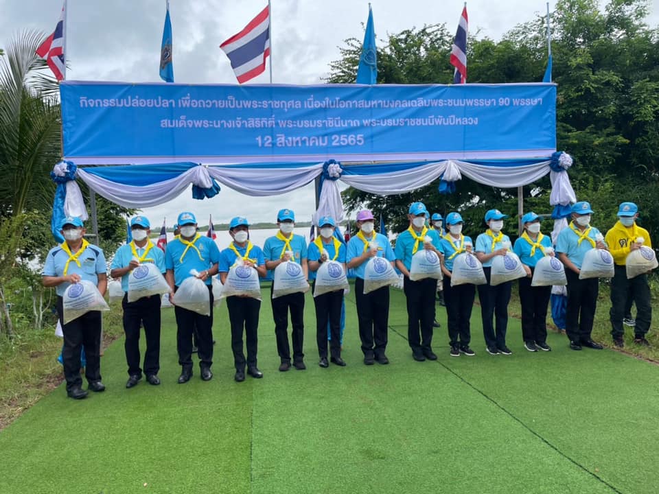 ภาพที่ 14