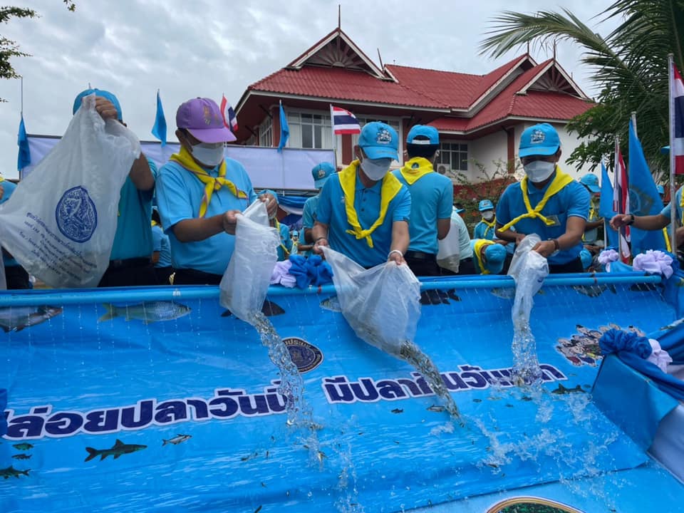 ภาพที่ 10