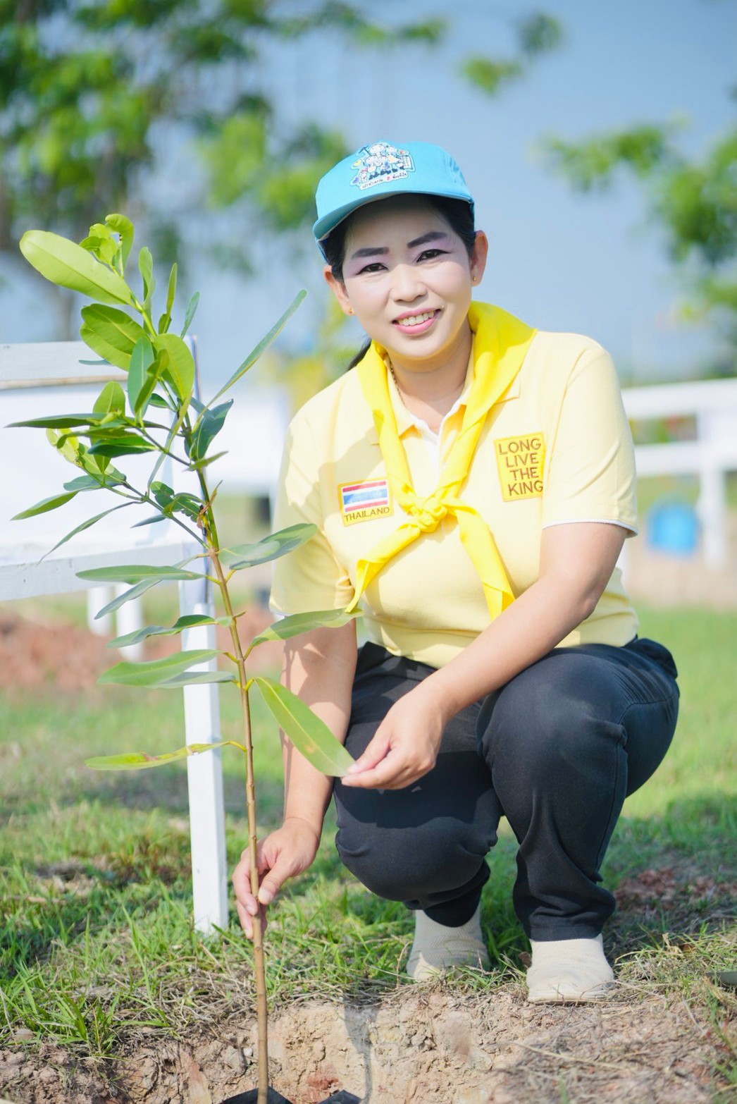 ภาพที่ 10