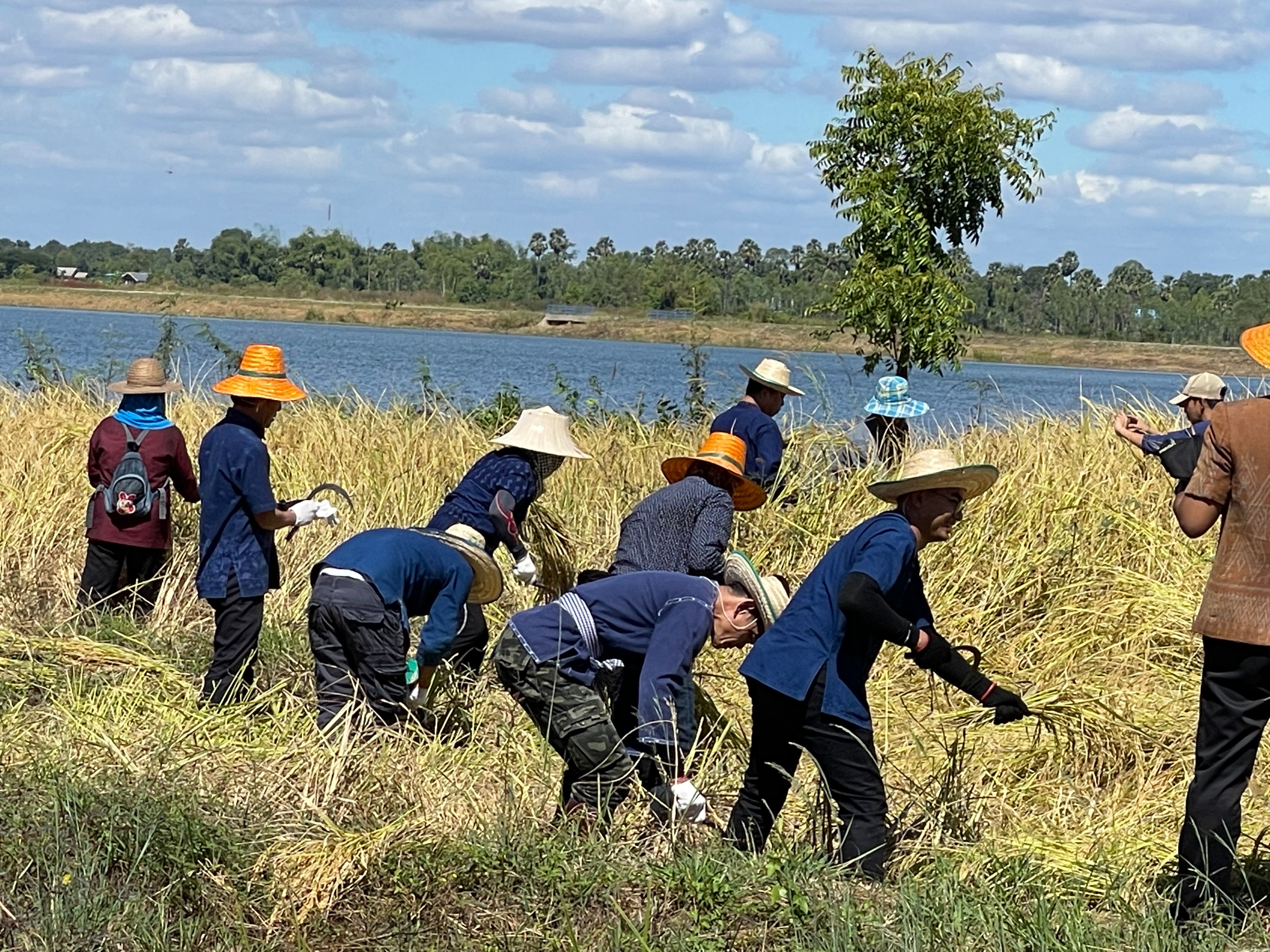 ภาพที่ 2