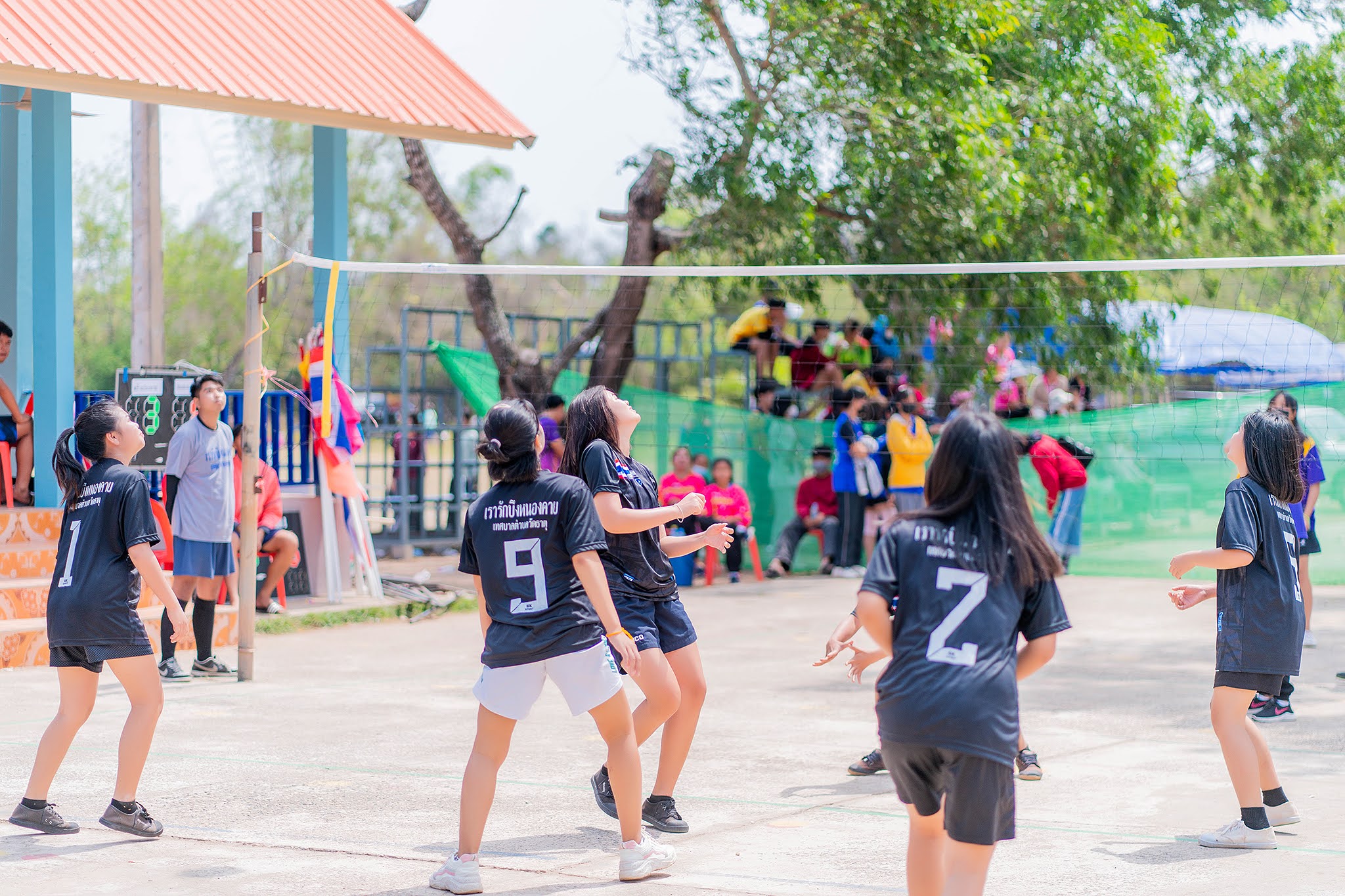 ภาพที่ 13