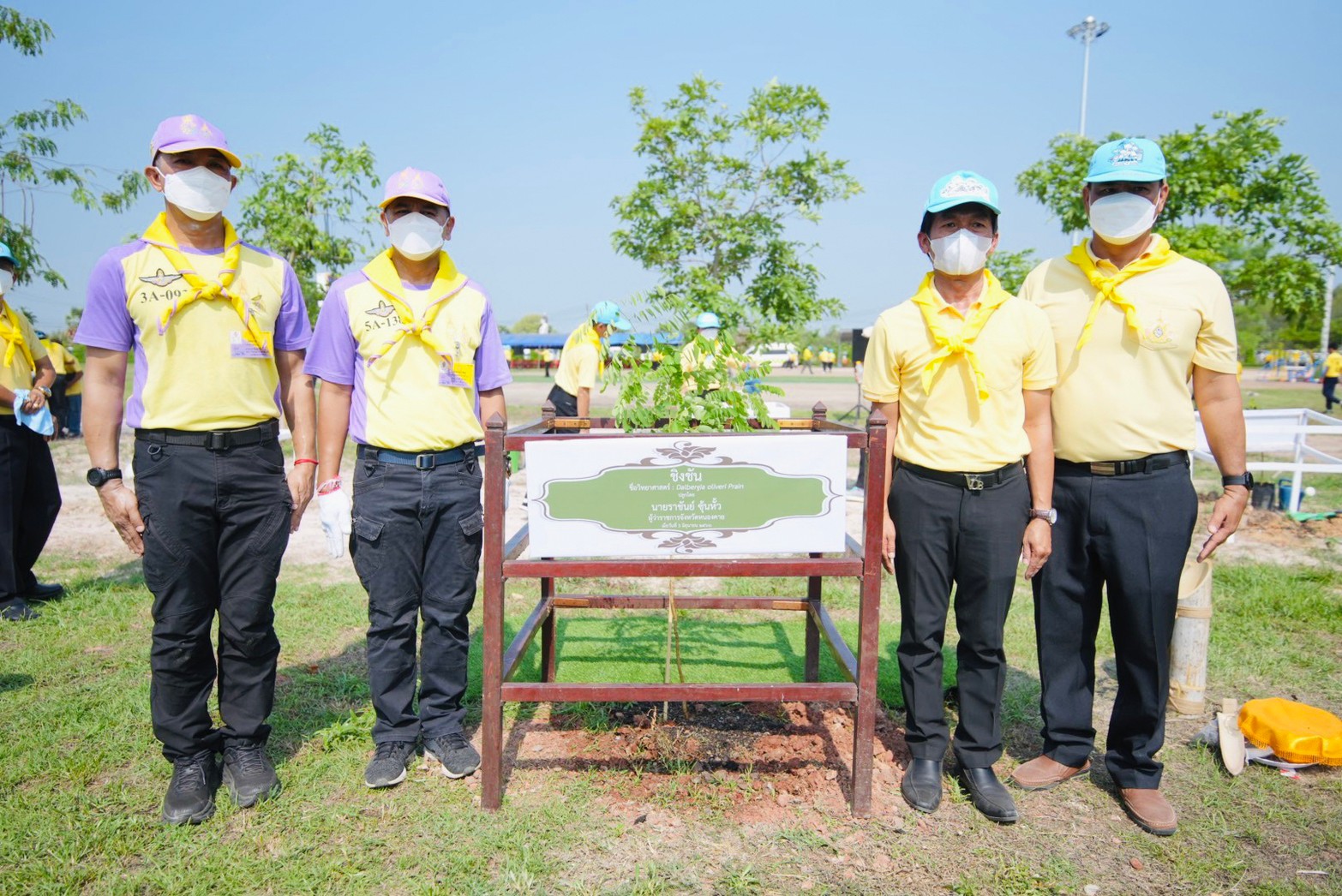 ภาพที่ 6