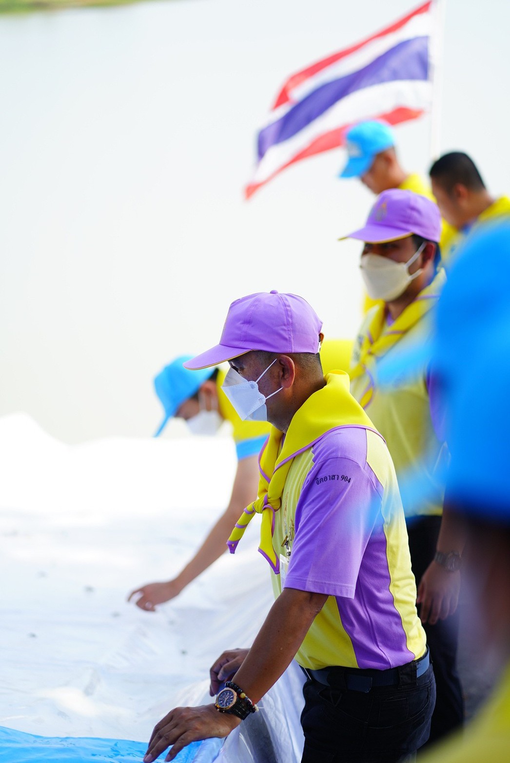 ภาพที่ 12