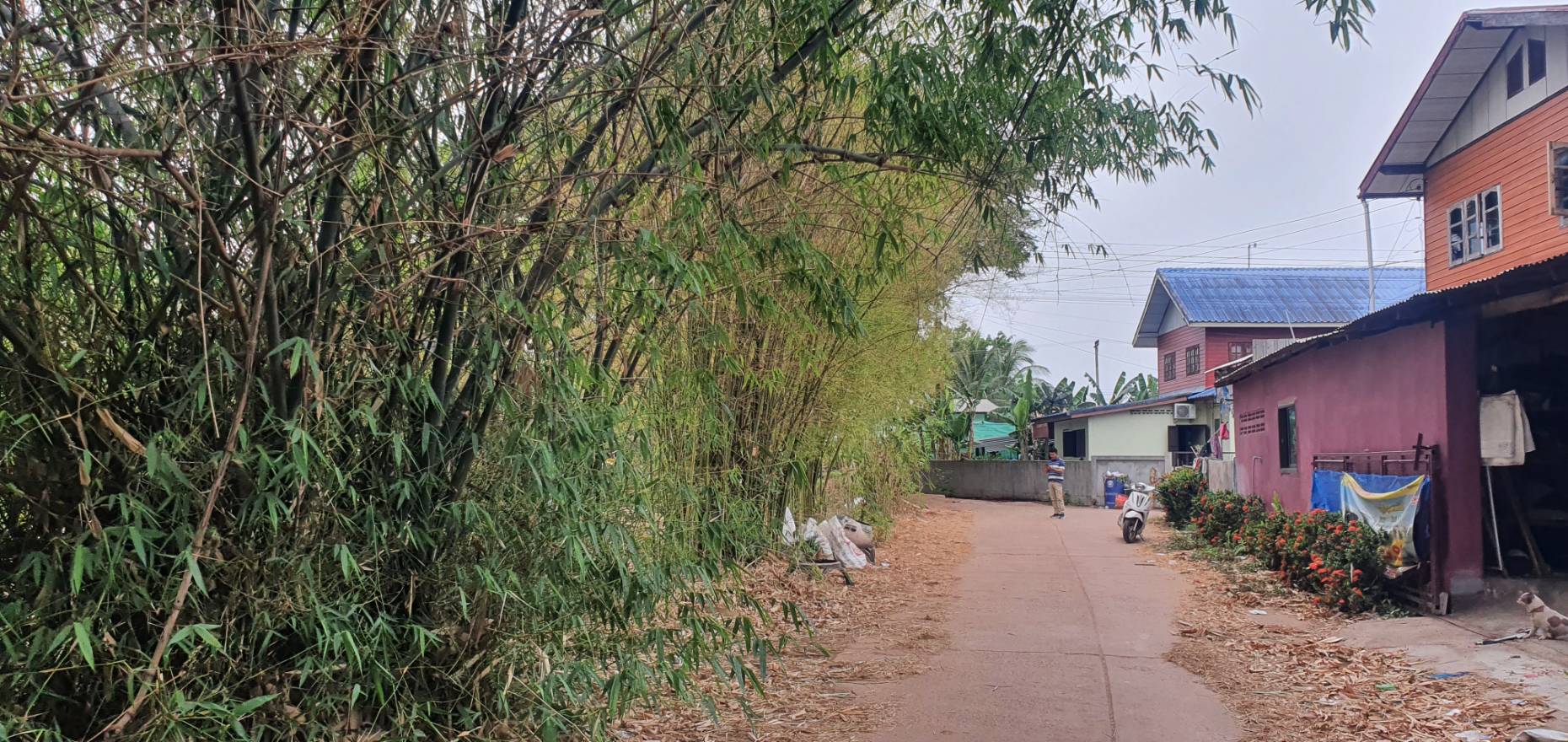 ภาพที่ 3