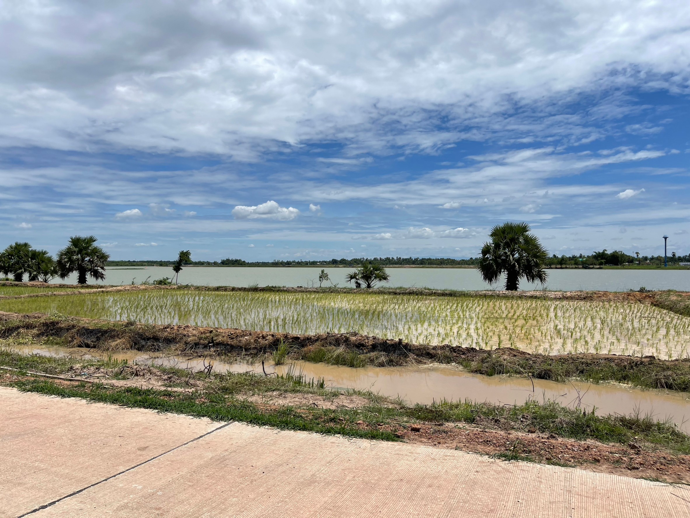ภาพที่ 23