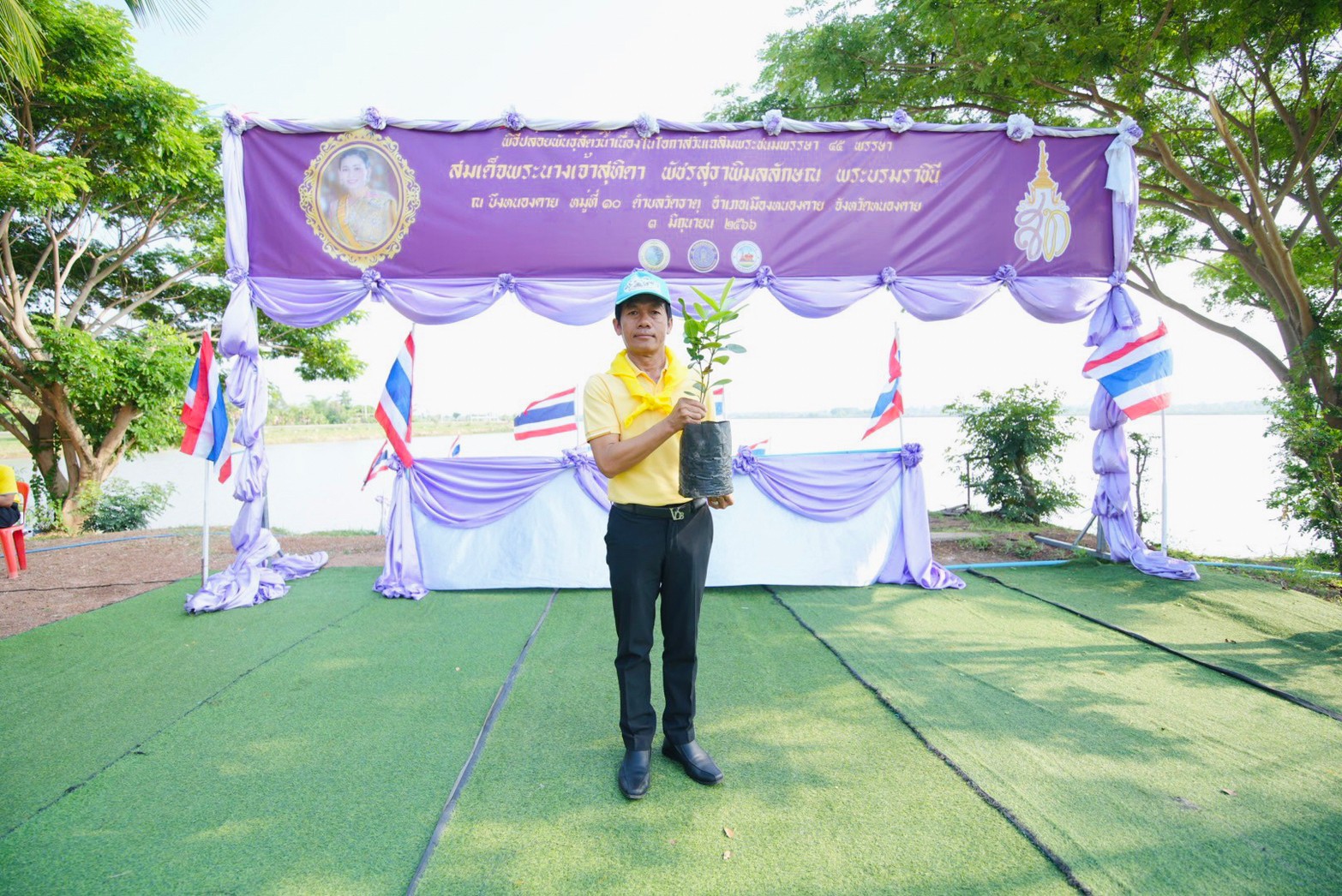 ภาพที่ 11