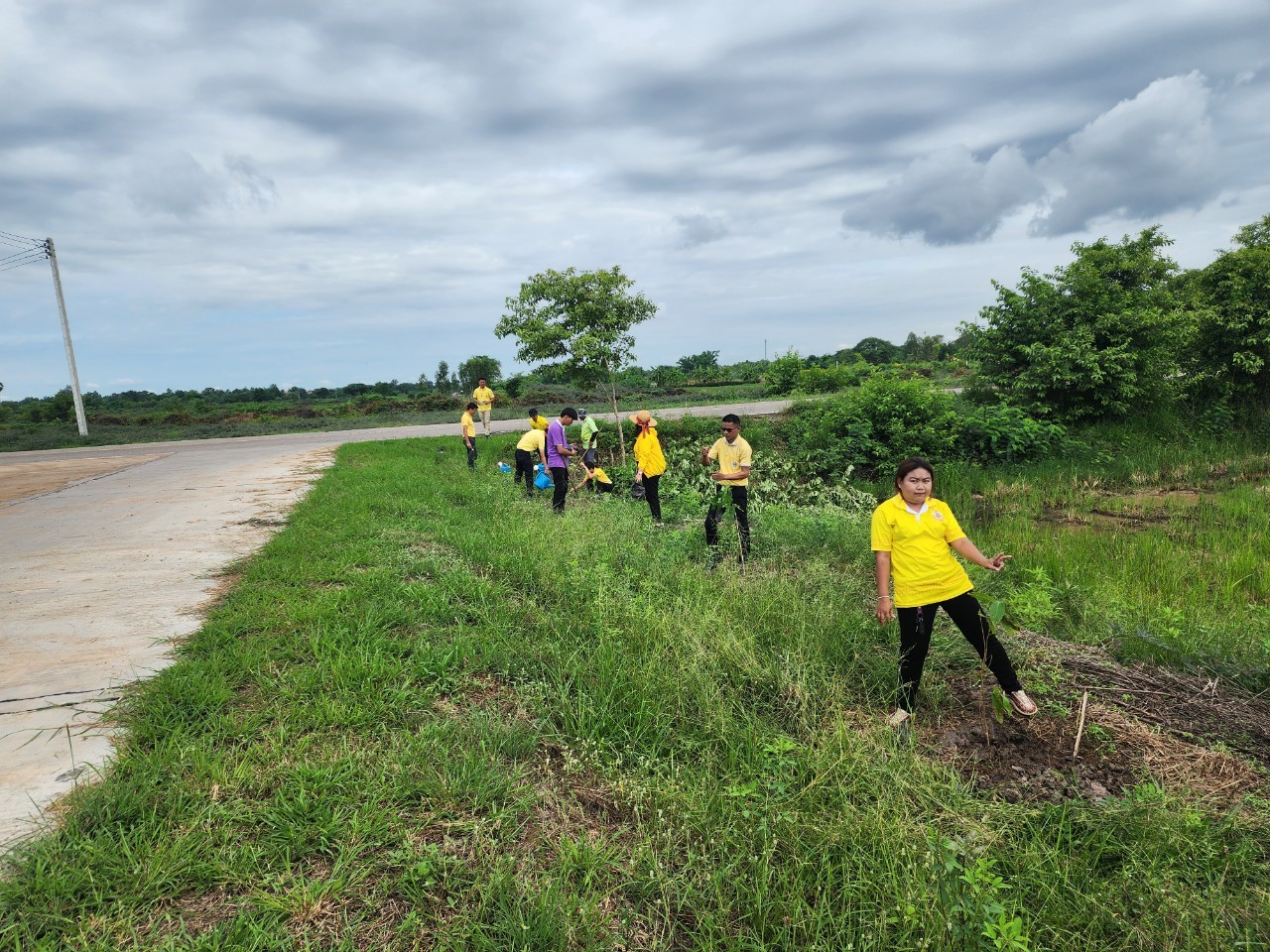 ภาพที่ 5