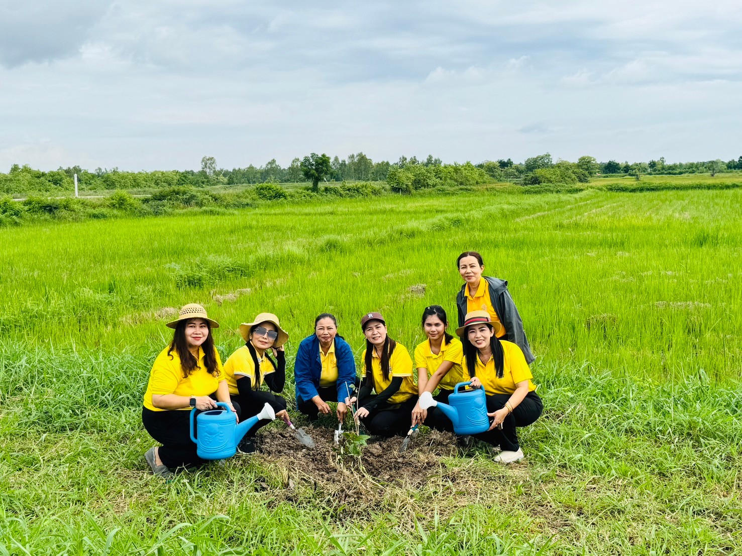 ภาพที่ 6