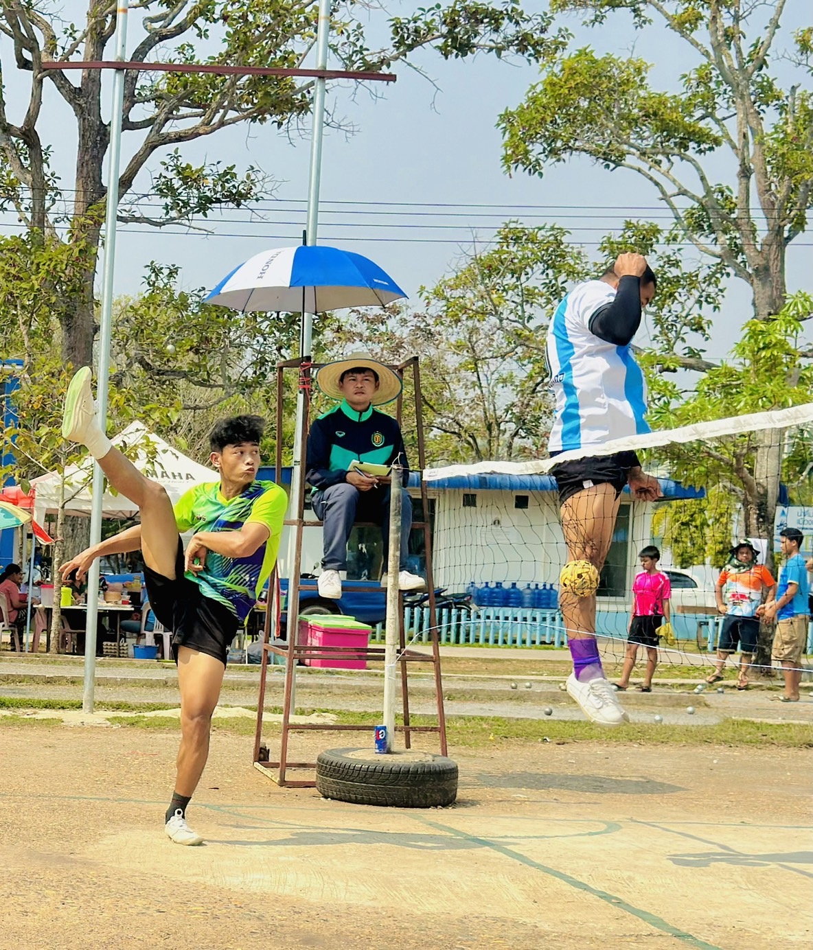 ภาพที่ 11