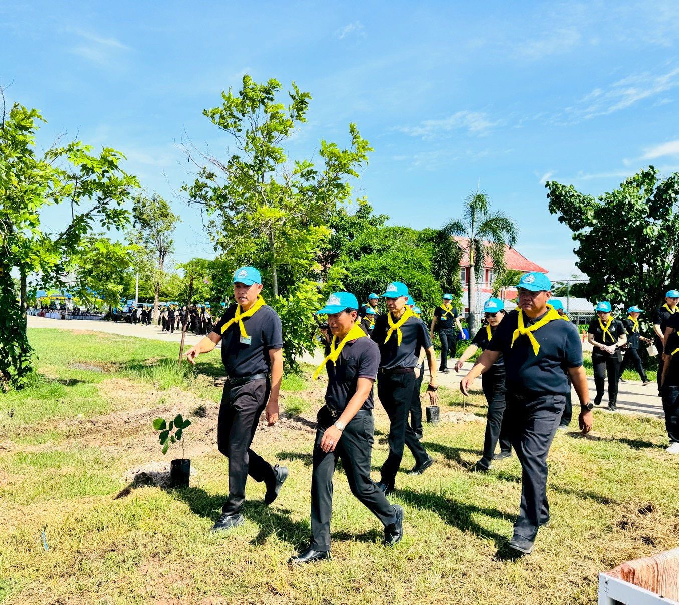 ภาพที่ 11