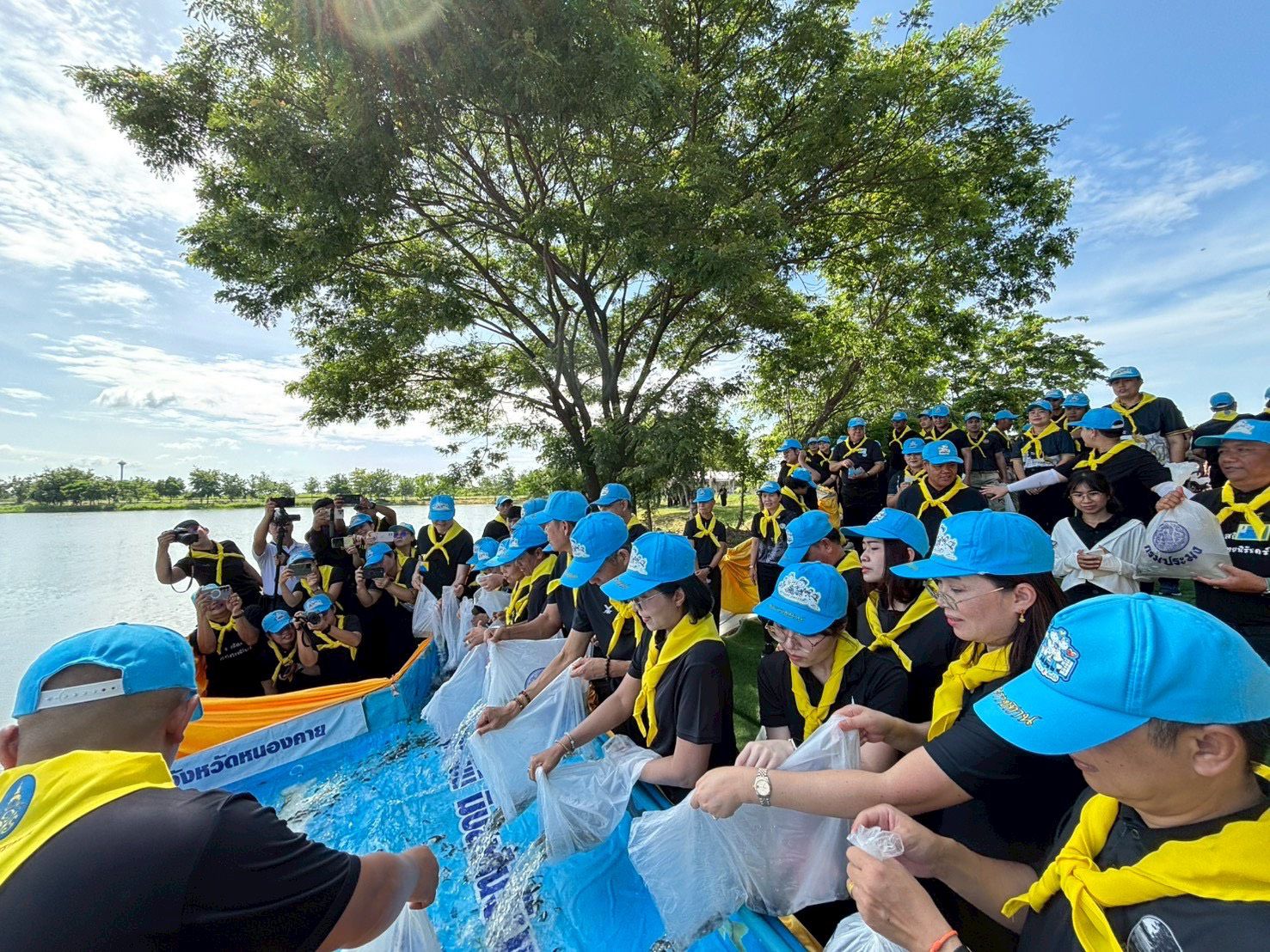 ภาพที่ 7